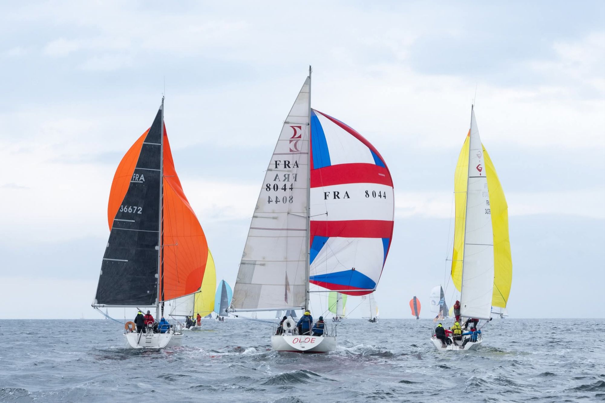 Régate le Tour de Belle île