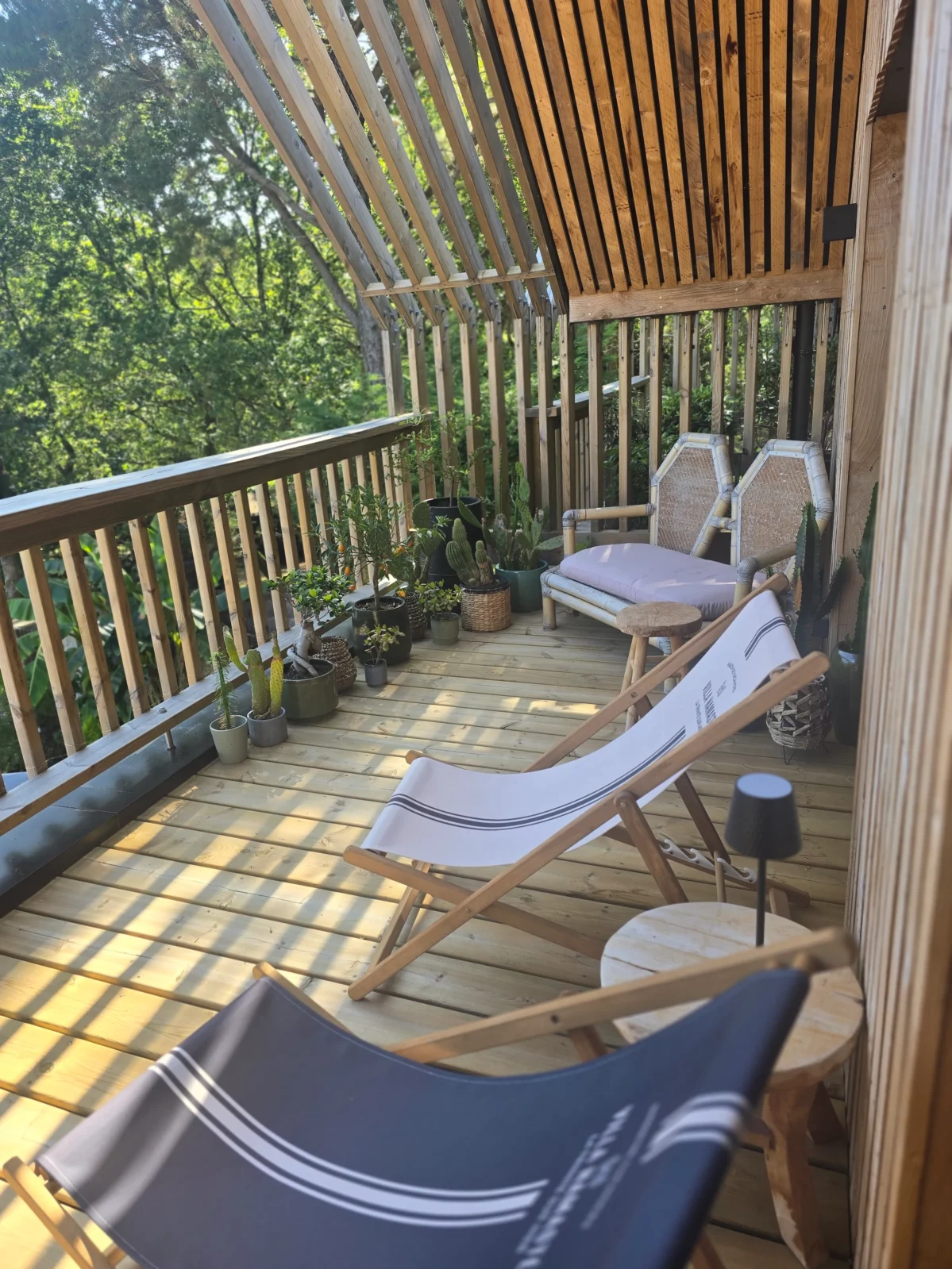 terrasse chambre pergola chaise longue parasol soleil plantes terrasse cordyline