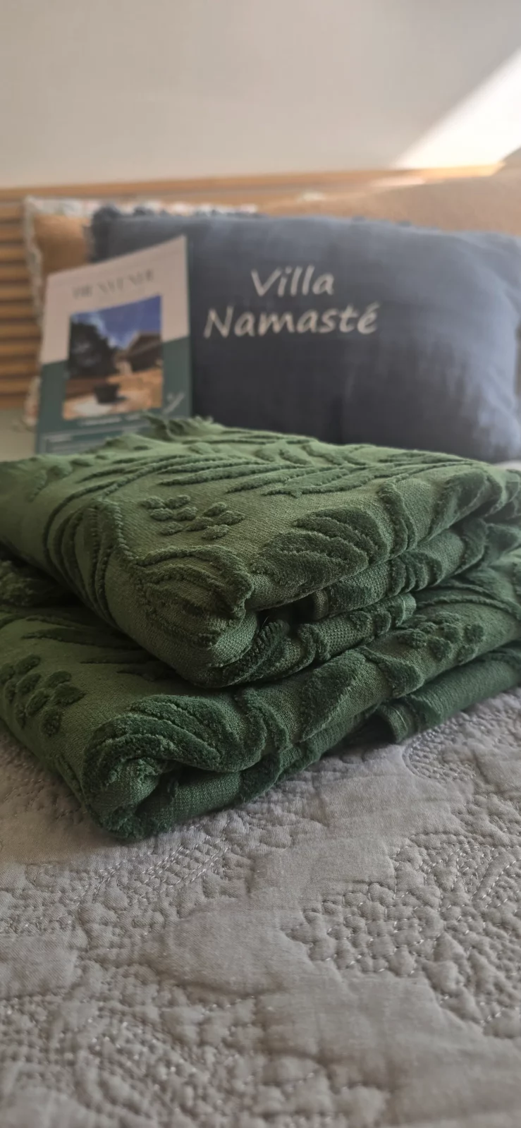 chambre émeraude lumineuse radiateur buffet salle de bain douche