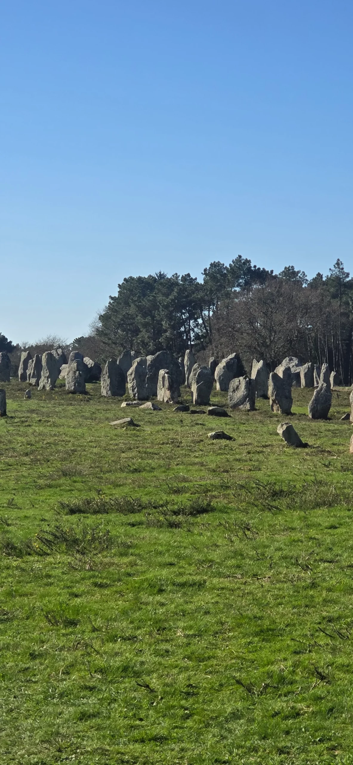 Balade d’hiver à Carnac avec Little menhirs