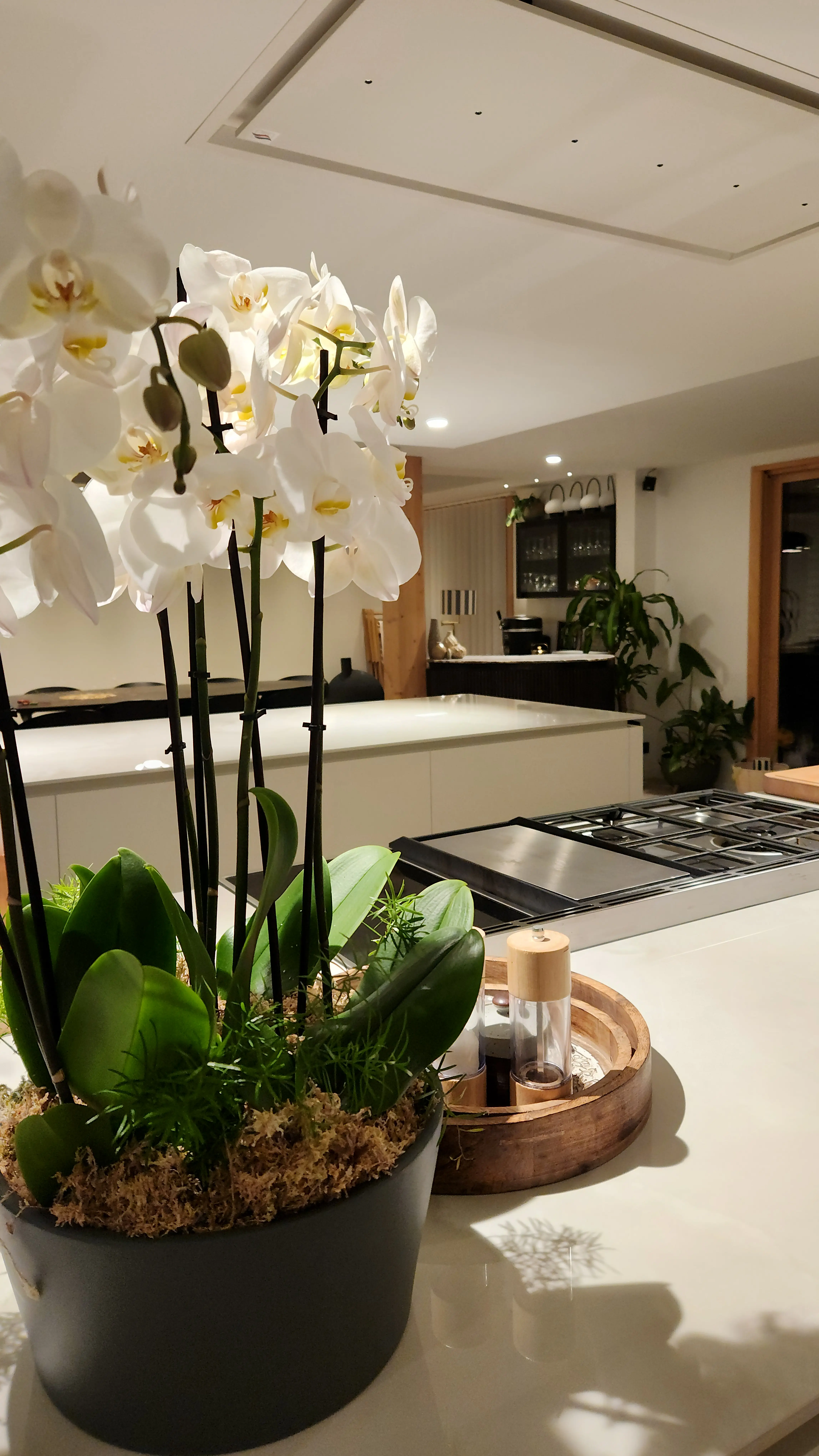 cuisine noblessa équipée paino cuisson smeg induction gaz plancha four ilôt orchidées